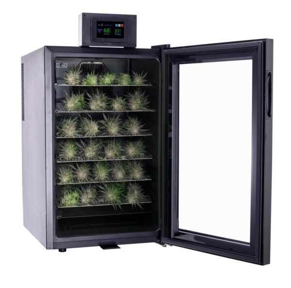 Cannatrol cool cure box for sale