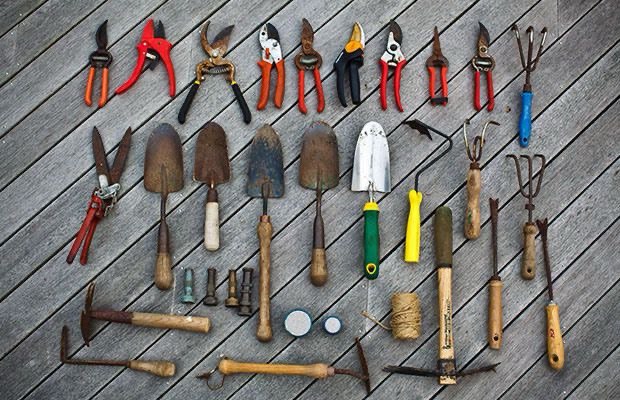 rusty trimming tools for indoor gardening